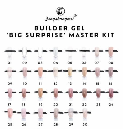 Fengshangmei Builder Gel 'Big Surprise' Master Kit