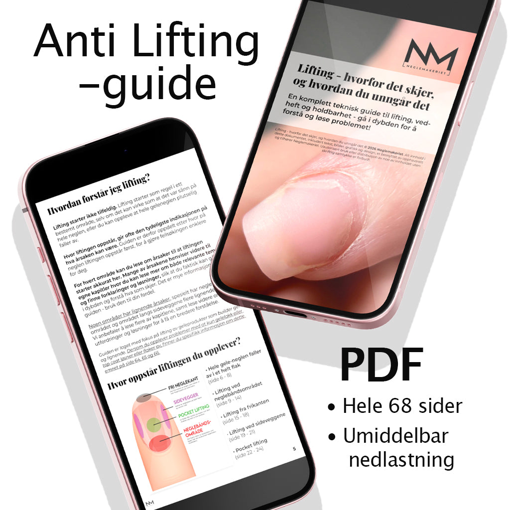 Anti Lifting-Guide - E-bok (nedlastbar)