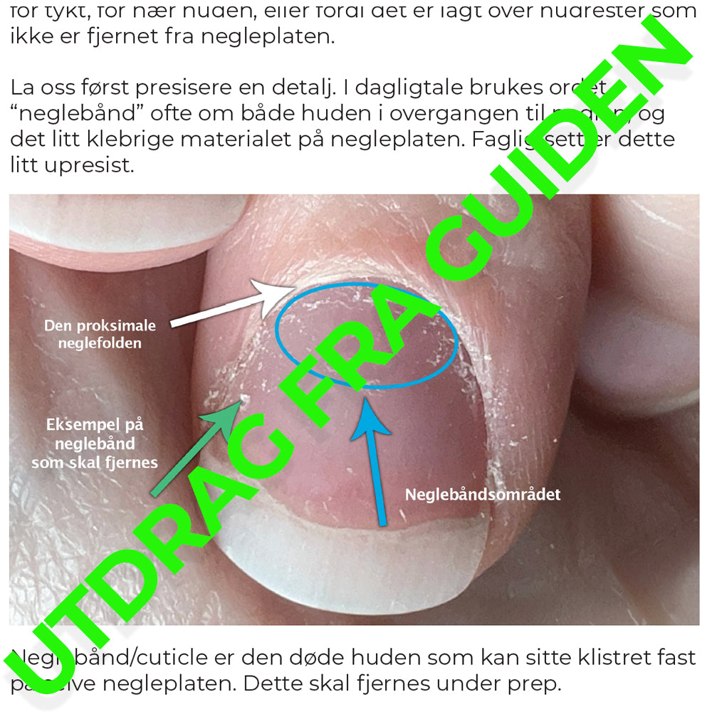 Anti Lifting-Guide - E-bok (nedlastbar)