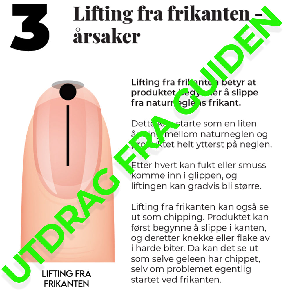 Anti Lifting-Guide - E-bok (nedlastbar)